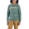 'Carhartt' Women's Relaxed Fit Midweight Graphic Hoodie - Succulent Heather -Outfit Go Shop 105639 G86 WS22 b 1 1024x1024@2x