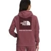 'The North Face' Women's Box NSE Pullover Hoodie - Wild Ginger / TNF White 2 'The North Face' Women's Box NSE Pullover Hoodie - Wild Ginger / TNF White -Outfit Go Shop NF0A7UON 86L hero 1024x1024@2x