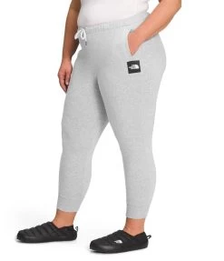 'The North Face' Women's Box NSE Joggers - TNF Light Grey Heather (Ext. Sizes) -Outfit Go Shop NF0A7WM3 GAU model34 1024x1024@2x